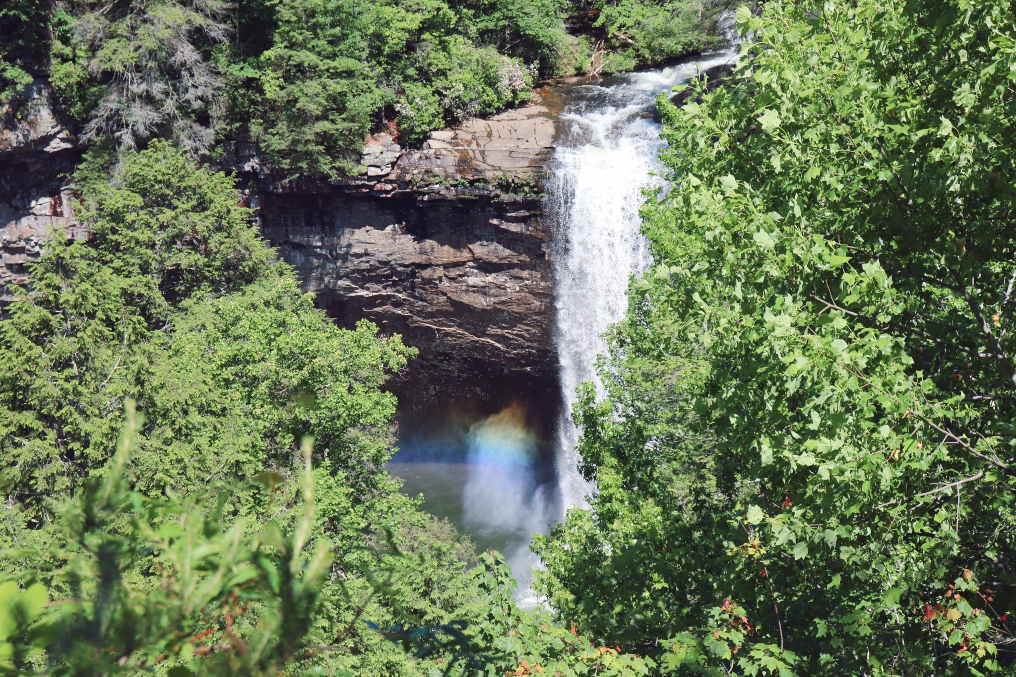 Of The Best Chattanooga Swimming Holes Exploring Chatt