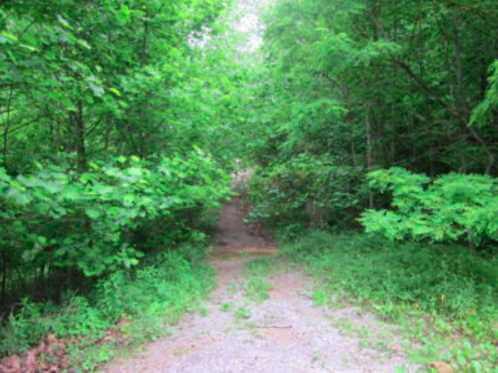 tn divide north section