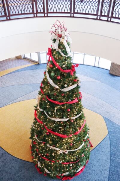 Christmas tree at chattanooga convention center
