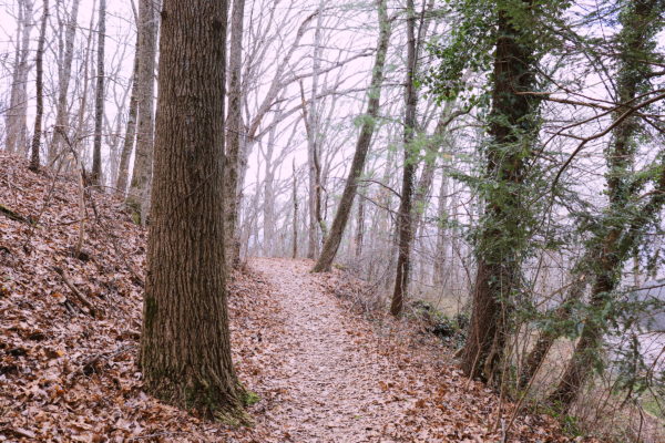Craven's House Trail