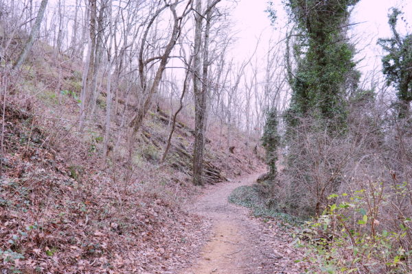 Lookout Mountain Trail