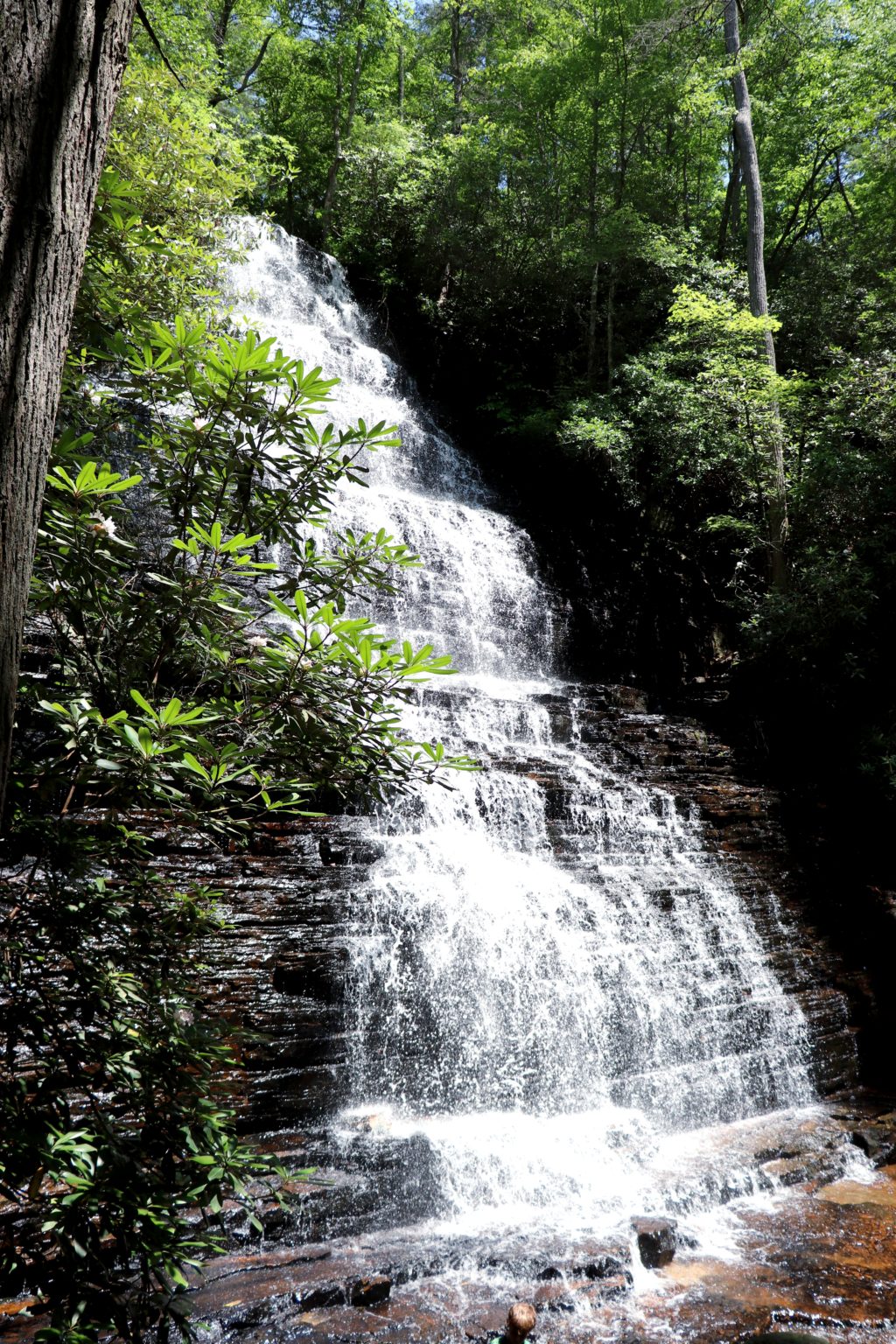 Benton Falls: Easy Hike to see a Cascading Waterfall - Exploring Chatt