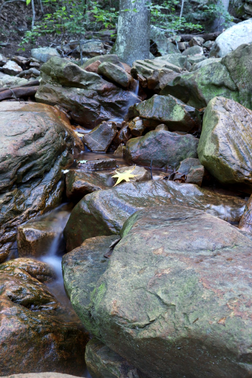 North Chick Blue Hole Chattanoogas Favorite Swimming Hole Exploring