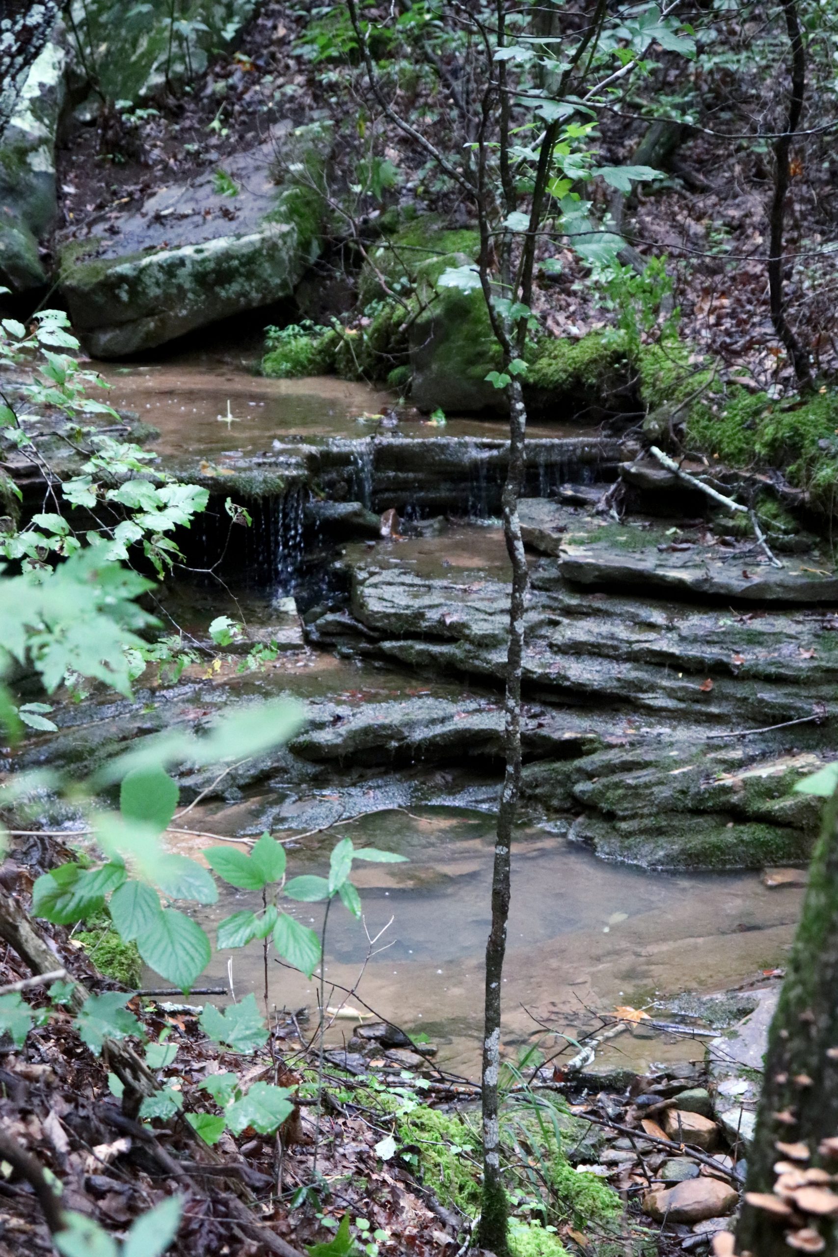 Why You Need to Visit + Hike at Snooper's Rock - Exploring Chatt