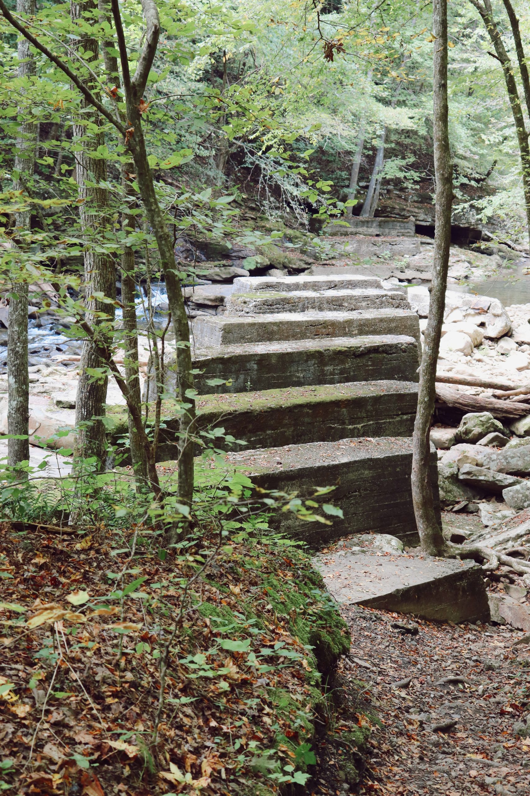 Escape To The Enchanted Forest: Tennessee’s Laurel-Snow State Natural Area