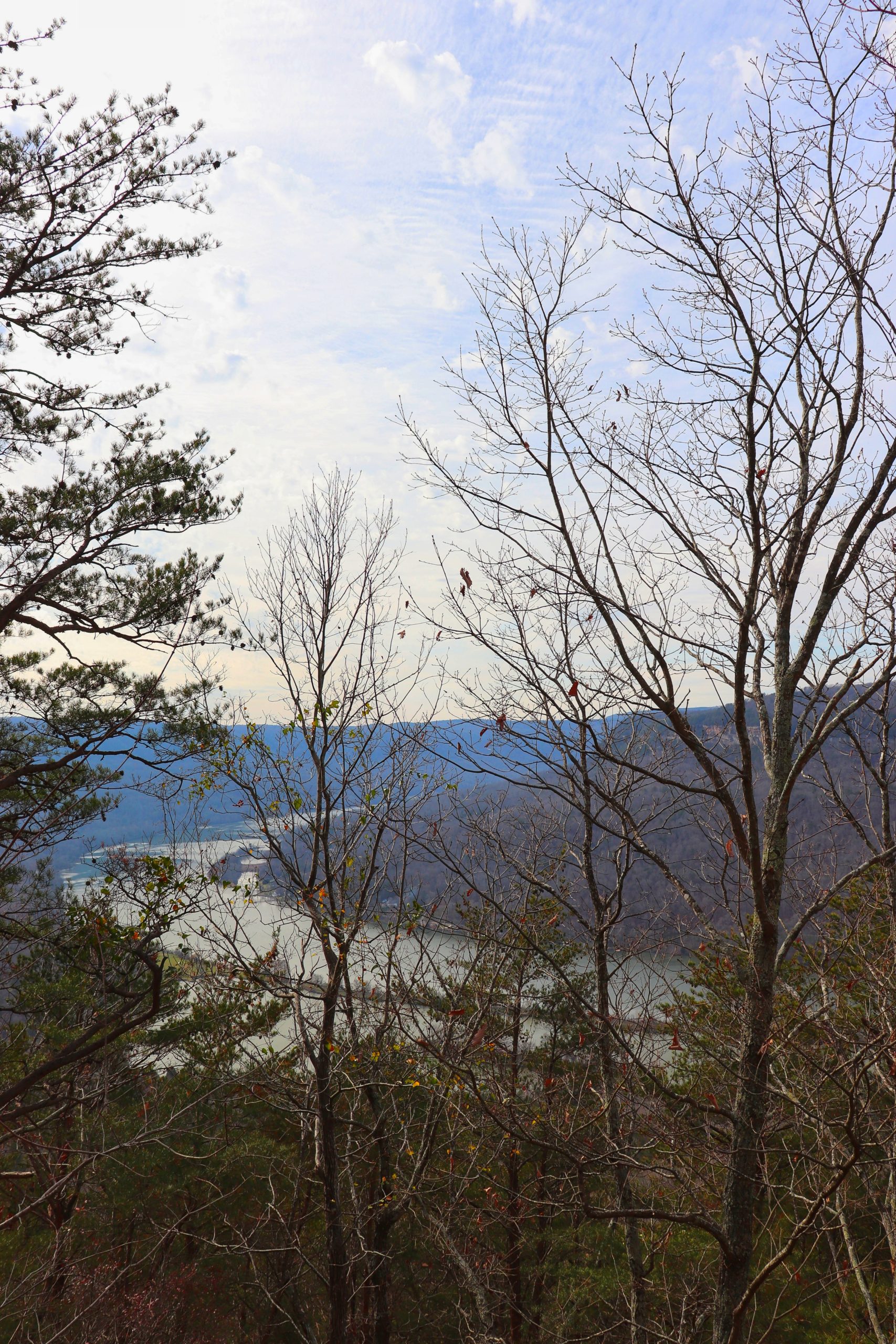 You are currently viewing Why Raccoon Mountain Hiking is best at Winter
