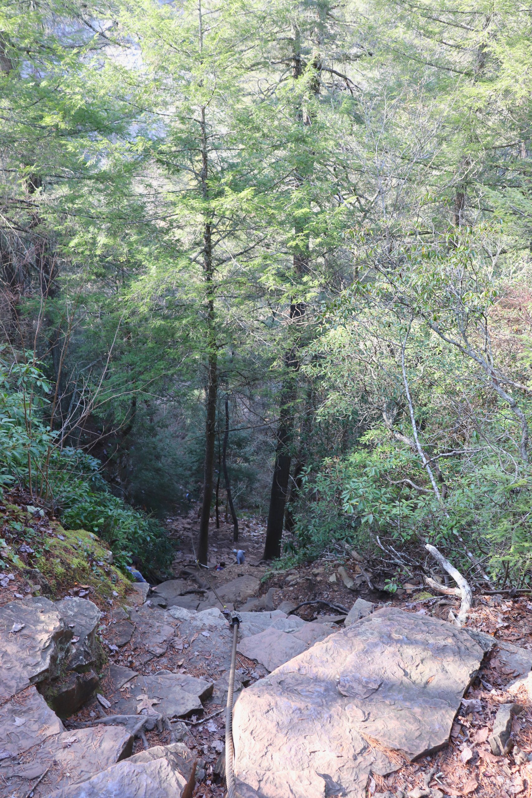 Fall Creek Falls Hiking Trails for Adventure Seekers