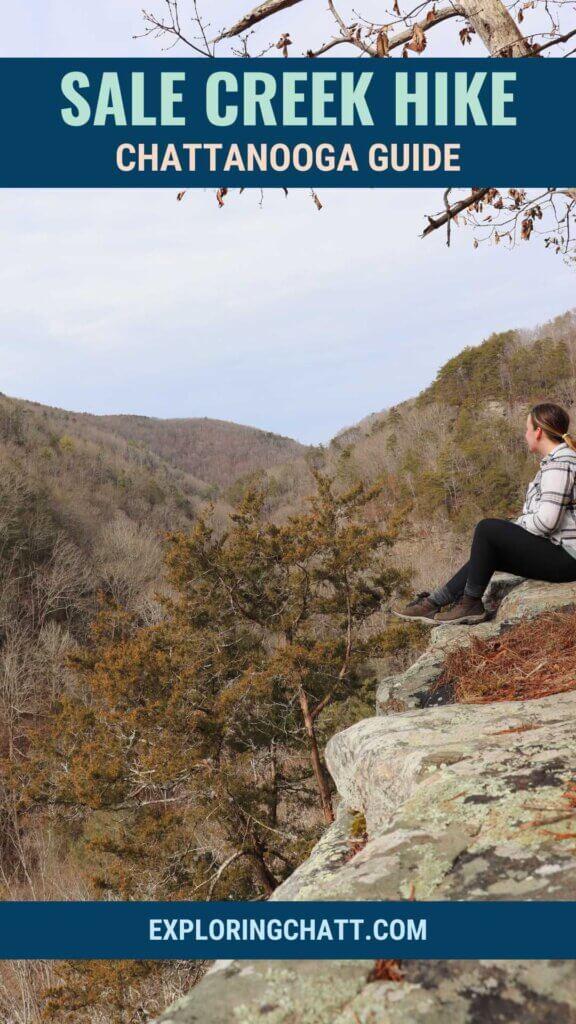 Sale Creek Hike Chattanooga Guide