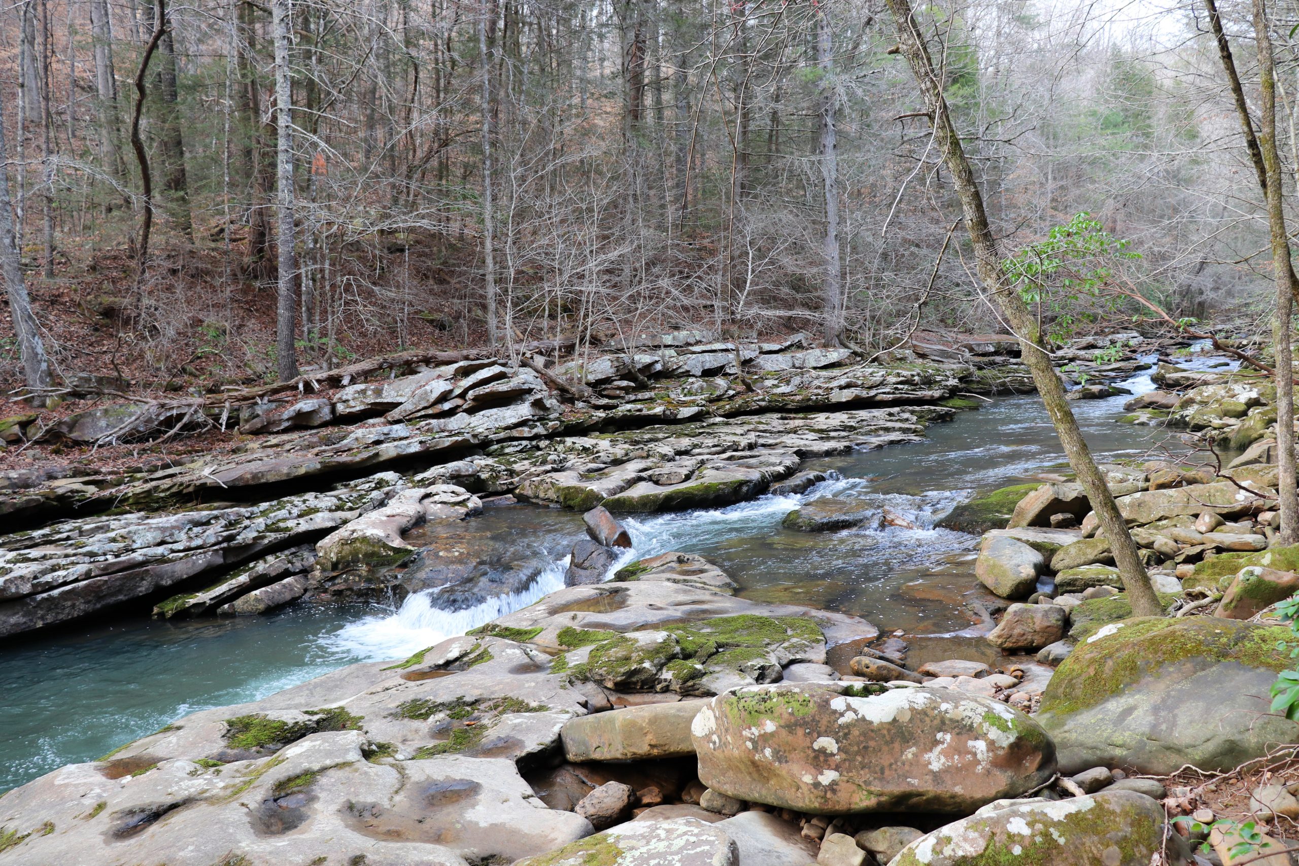 rock creek loop trail