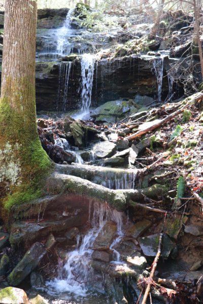 waterfall hike
