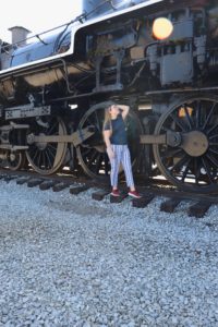 tennessee valley railroad museum