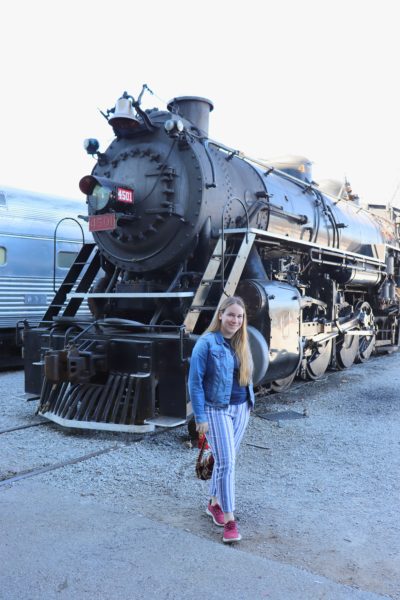 tennessee valley railroad museum