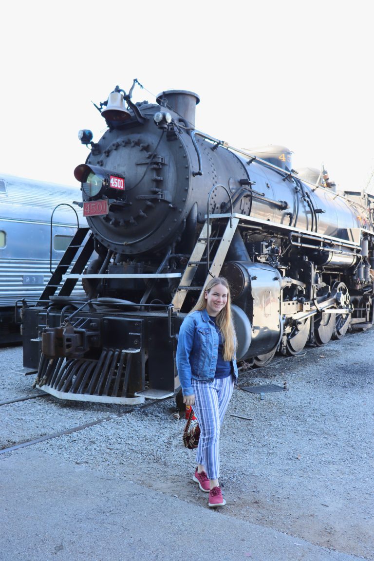 Best Train Rides in Chattanooga with the Tennessee Valley Railroad ...