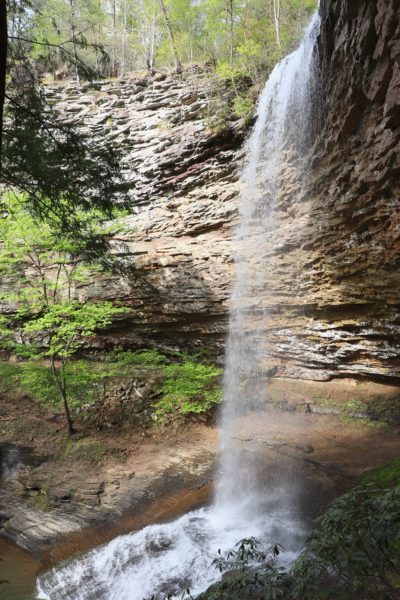 upper piney falls