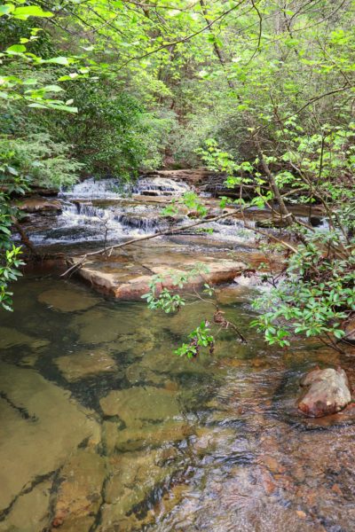 big laurel creek