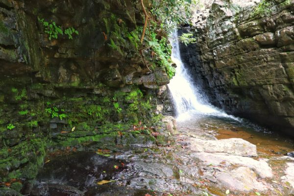 Paradise Falls - All You Need to Know BEFORE You Go (with Photos)