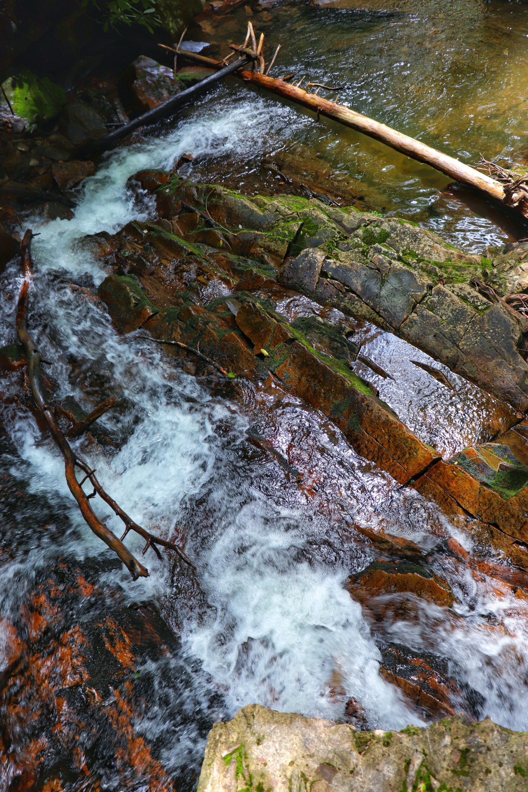 Gee Creek is a Hidden Hiwassee Gem - Exploring Chatt