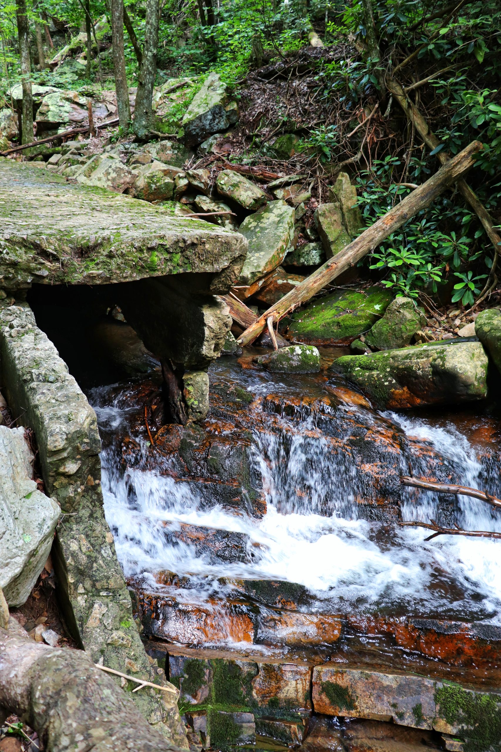 Gee Creek is a Hidden Hiwassee Gem - Exploring Chatt