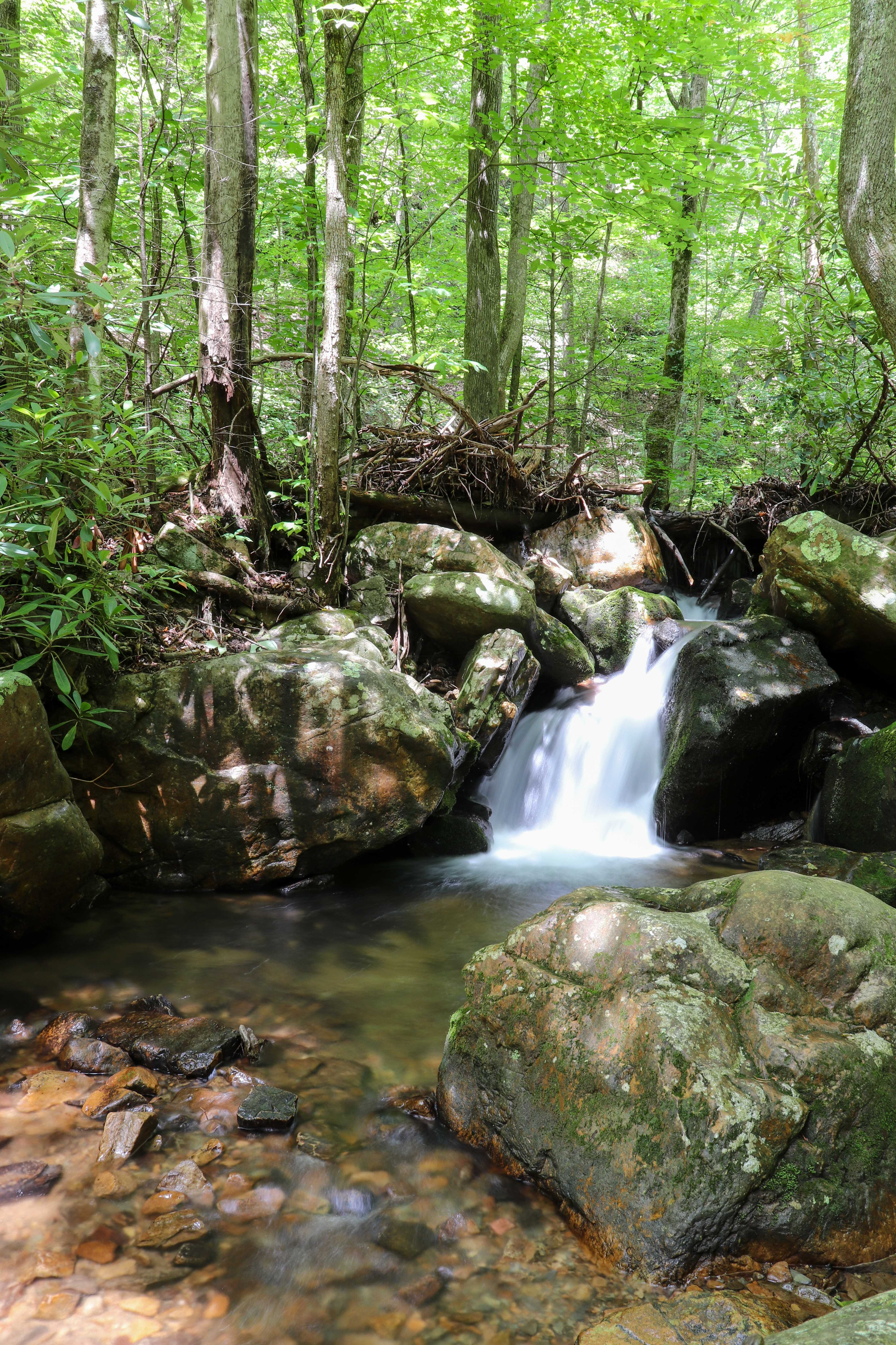 gee creek small waterfalls