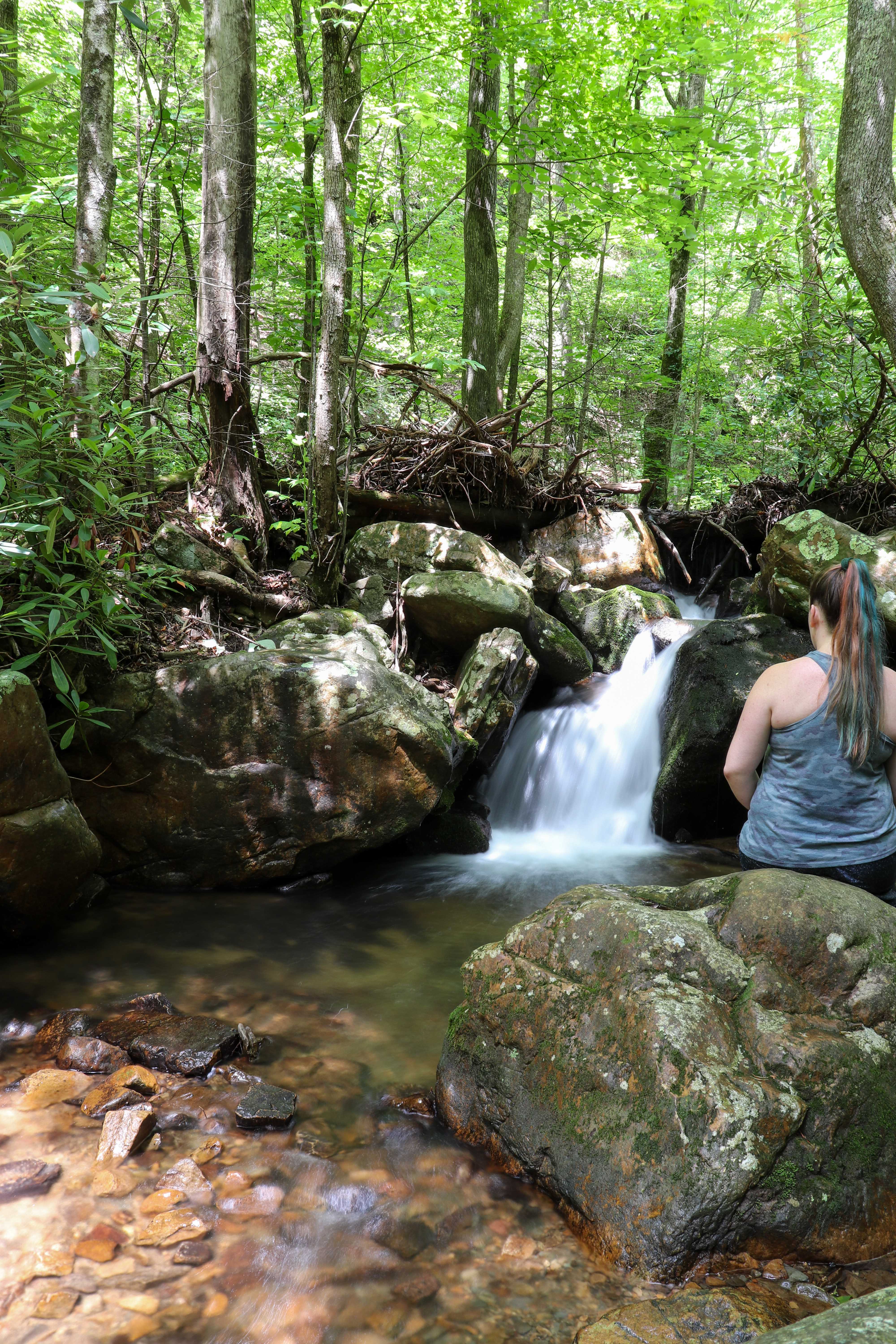me sitting in front of a small waterfall along Gee Creek in east Tennessee