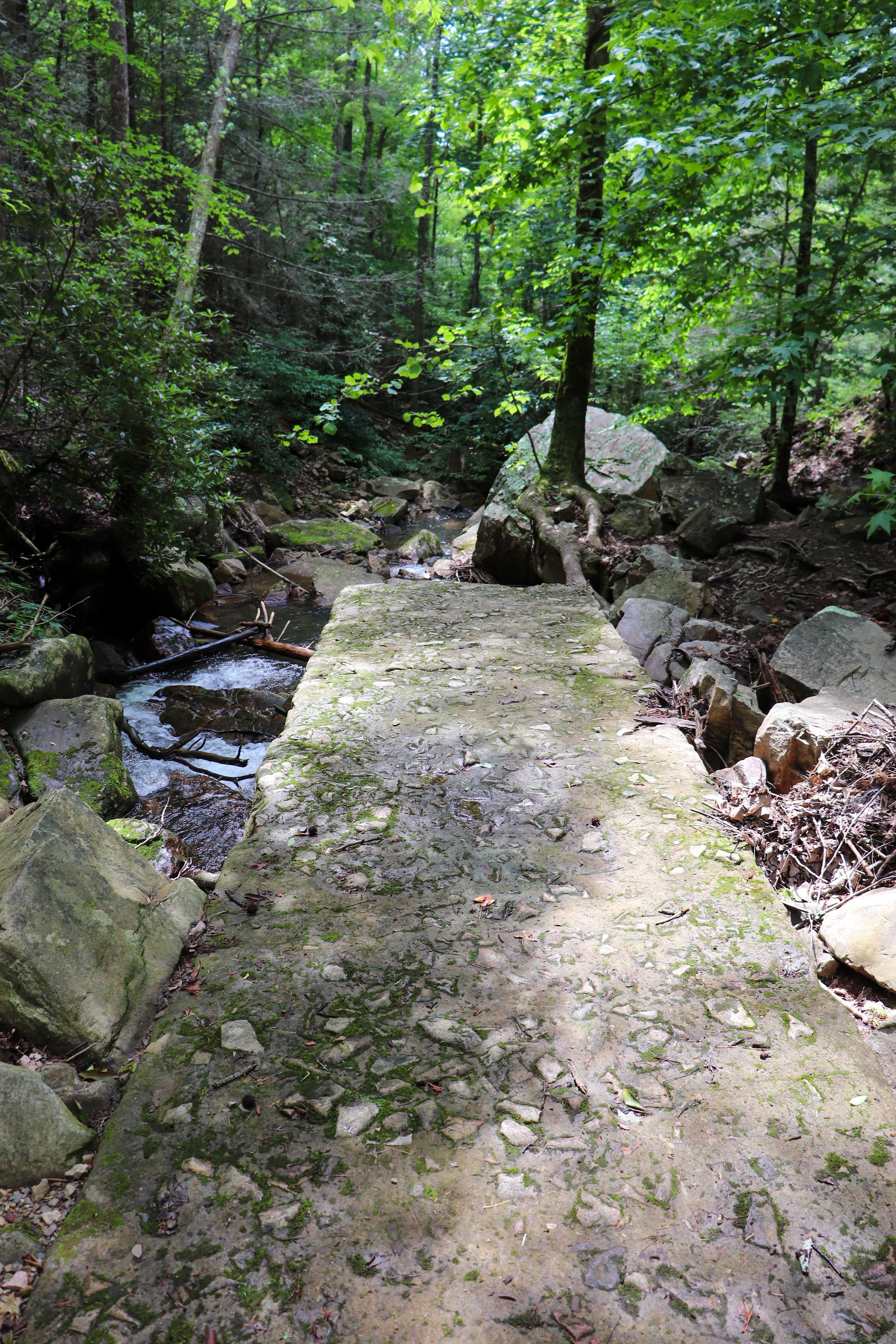 gee creek flume remains
