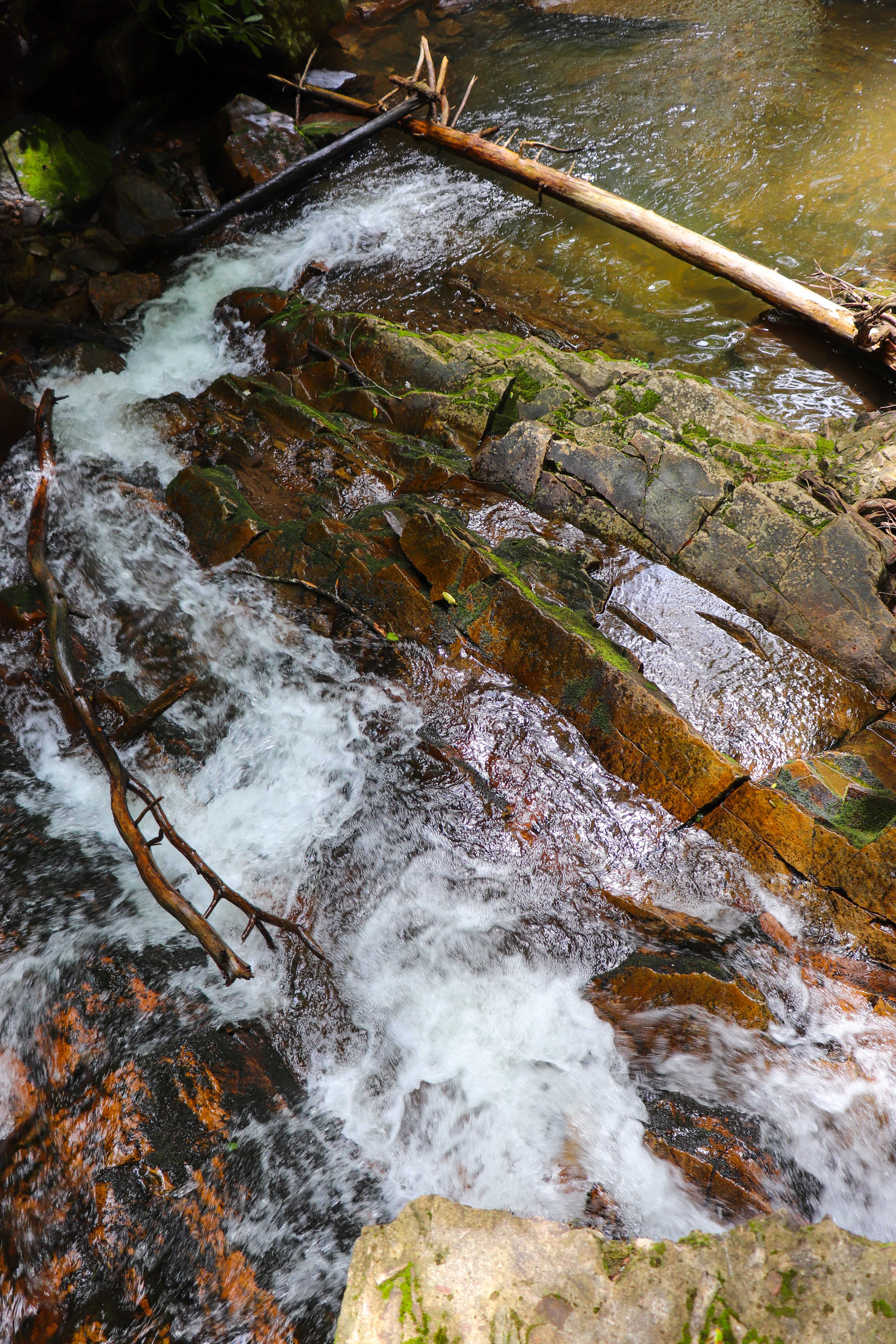 overlooking gee creek from the concrete flume remains