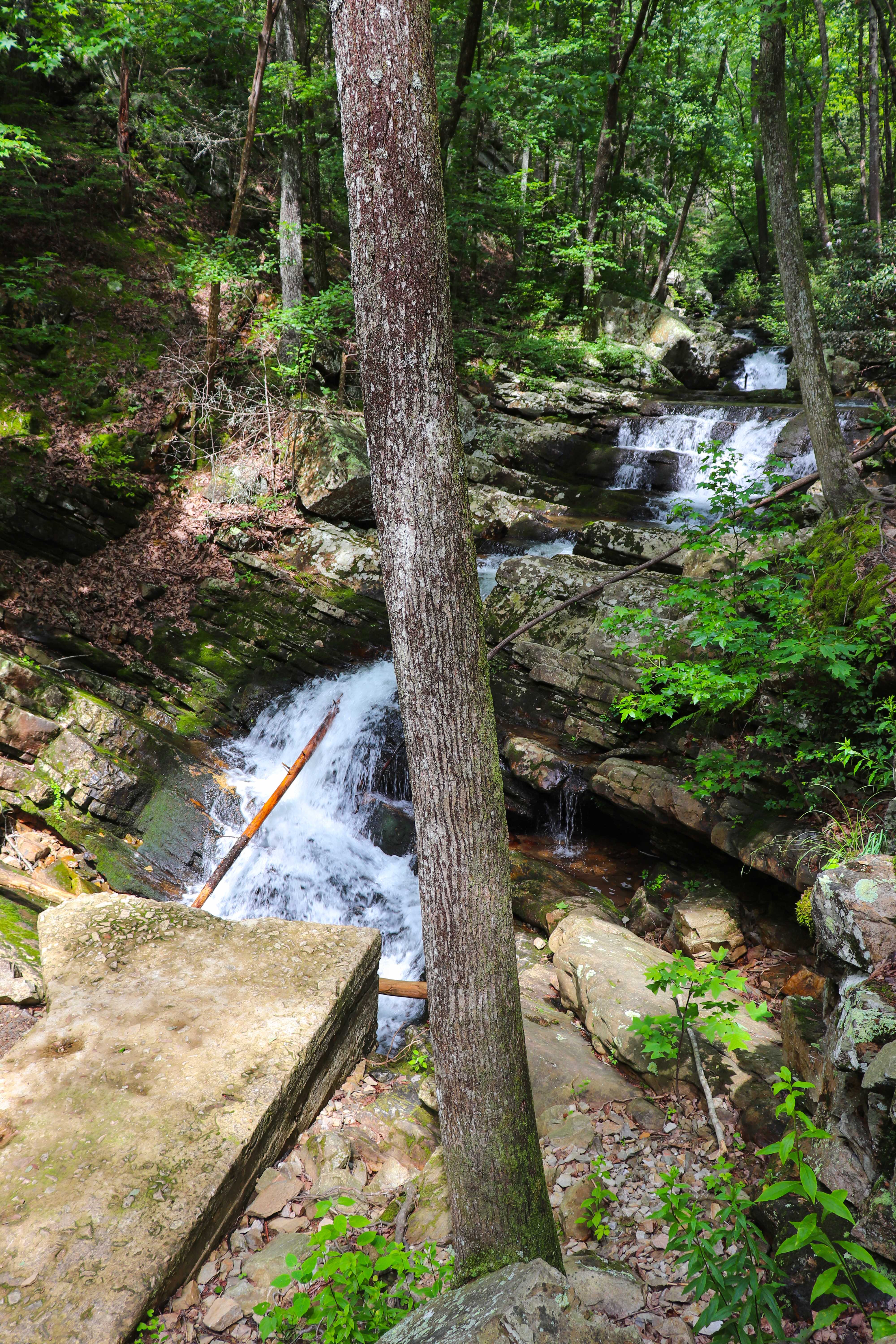gee creek waterfalls at the hardest part of the trail
