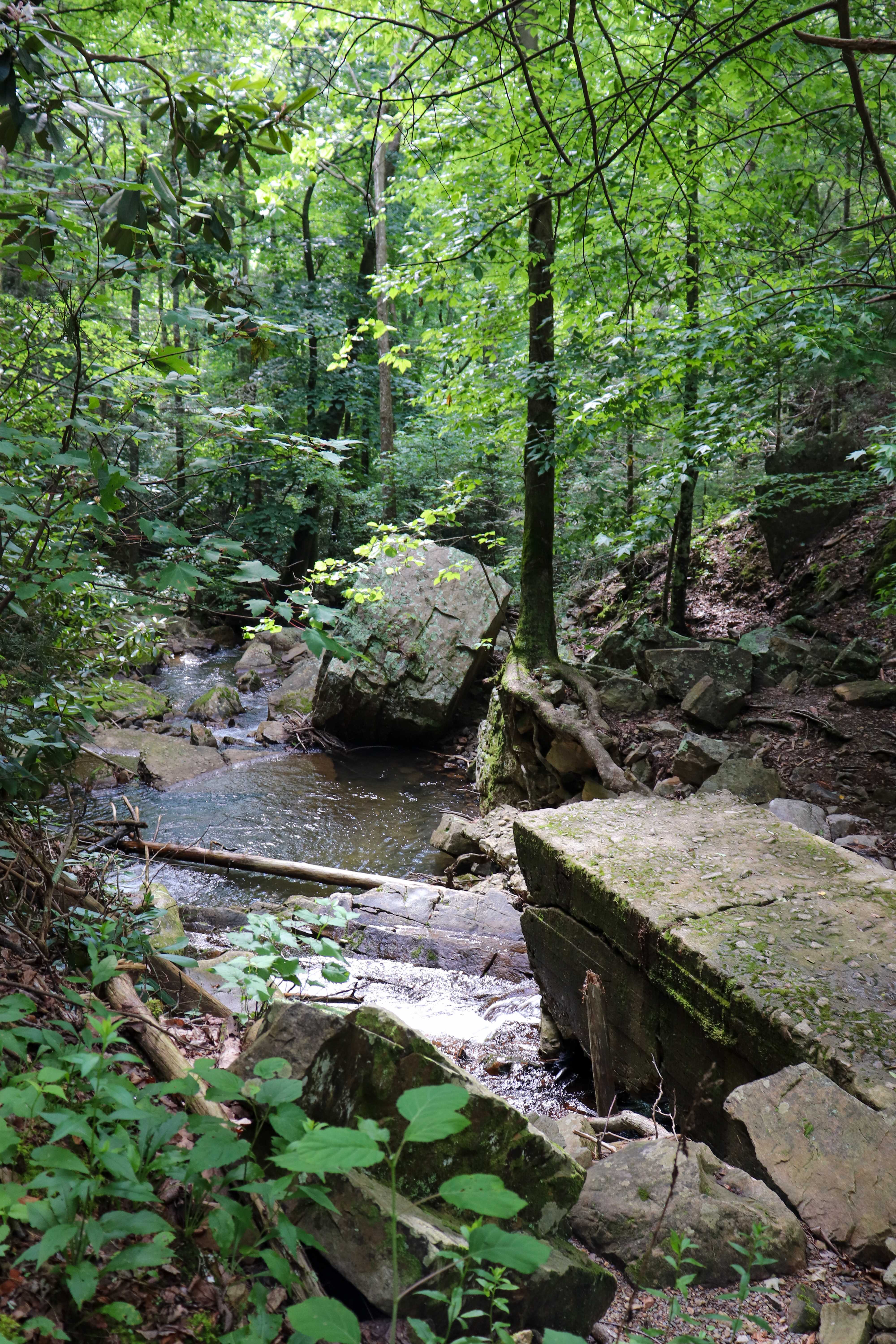 gee creek and flume remains