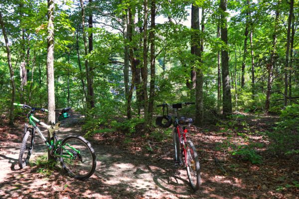 raccoon mountain biking