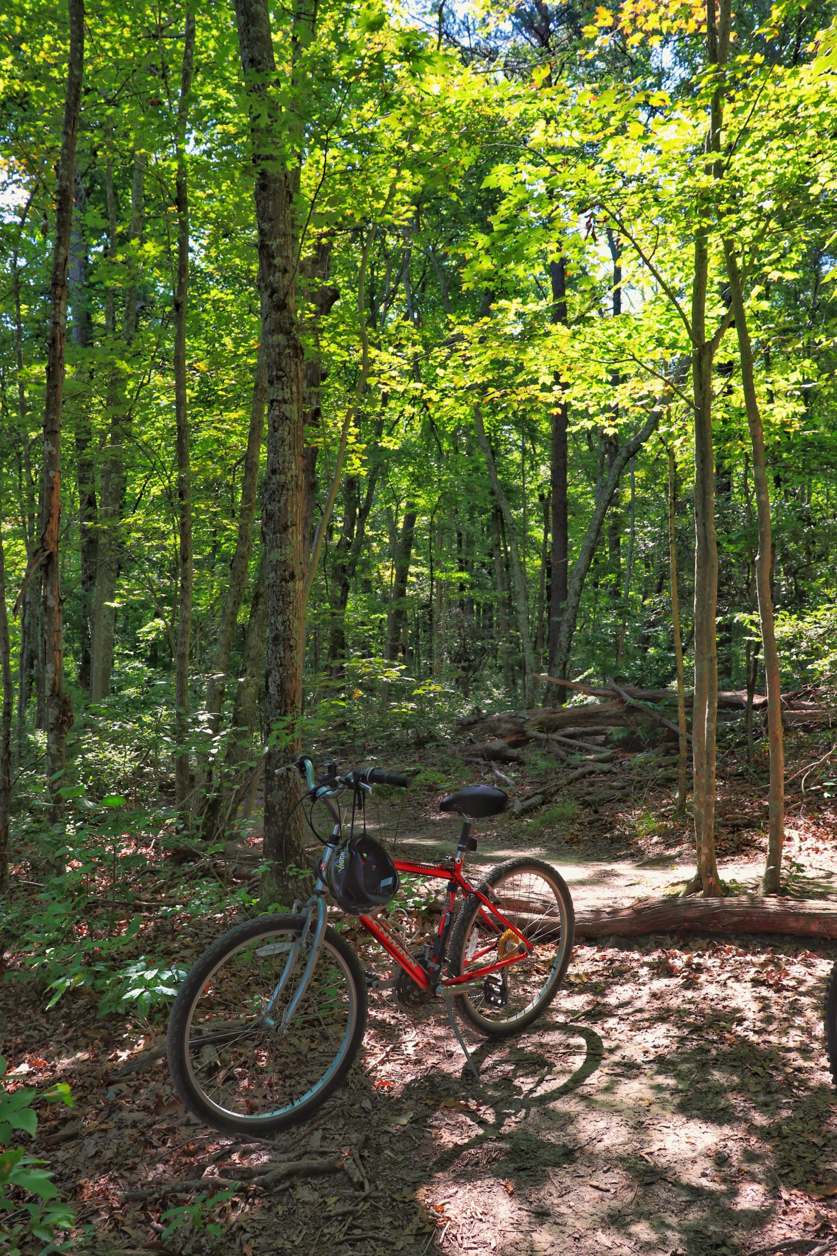 You are currently viewing Raccoon Mountain Biking First Time Experience