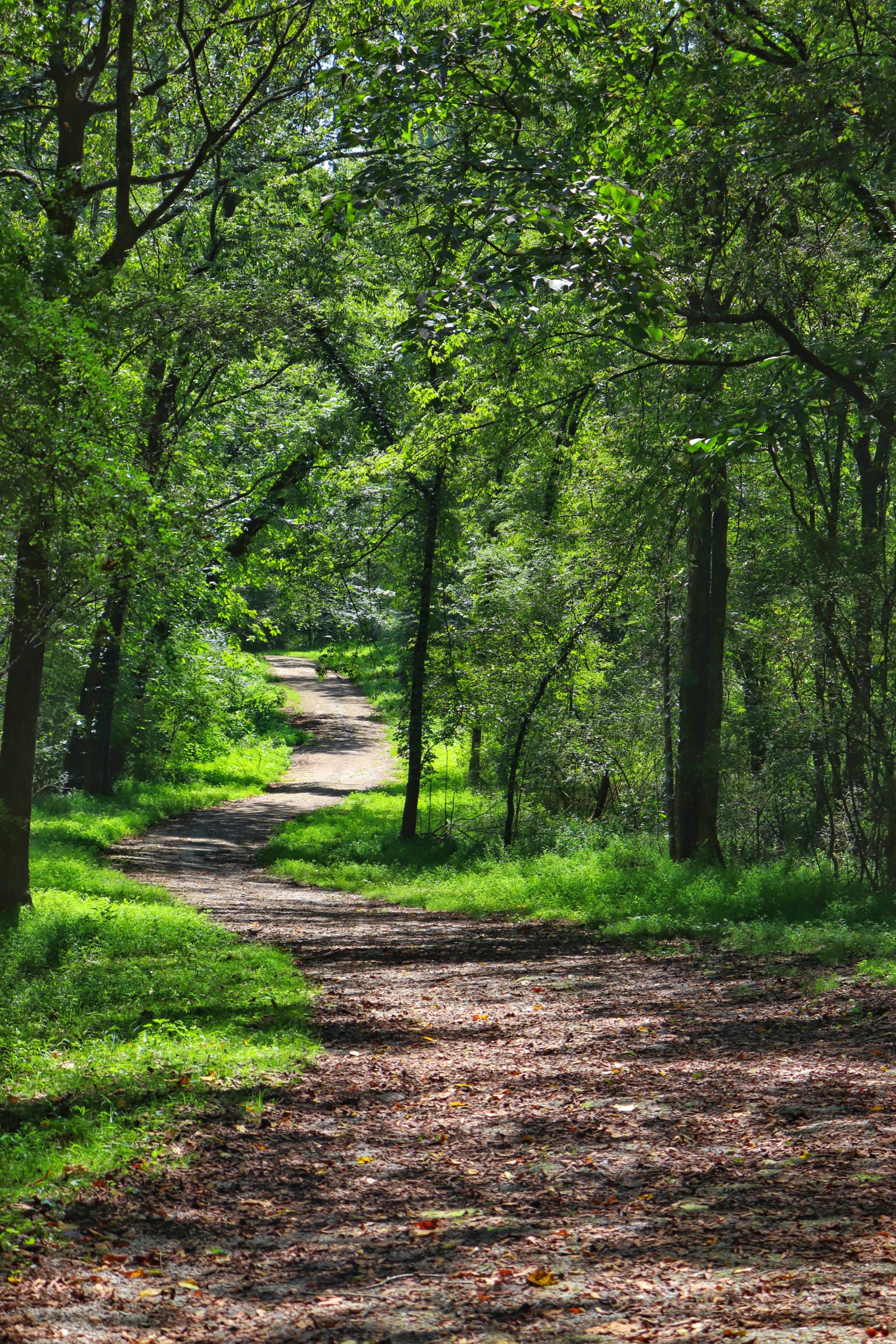 How to Truly Enjoy Nature - Exploring Chatt