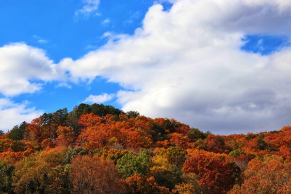 chattanooga fall colors