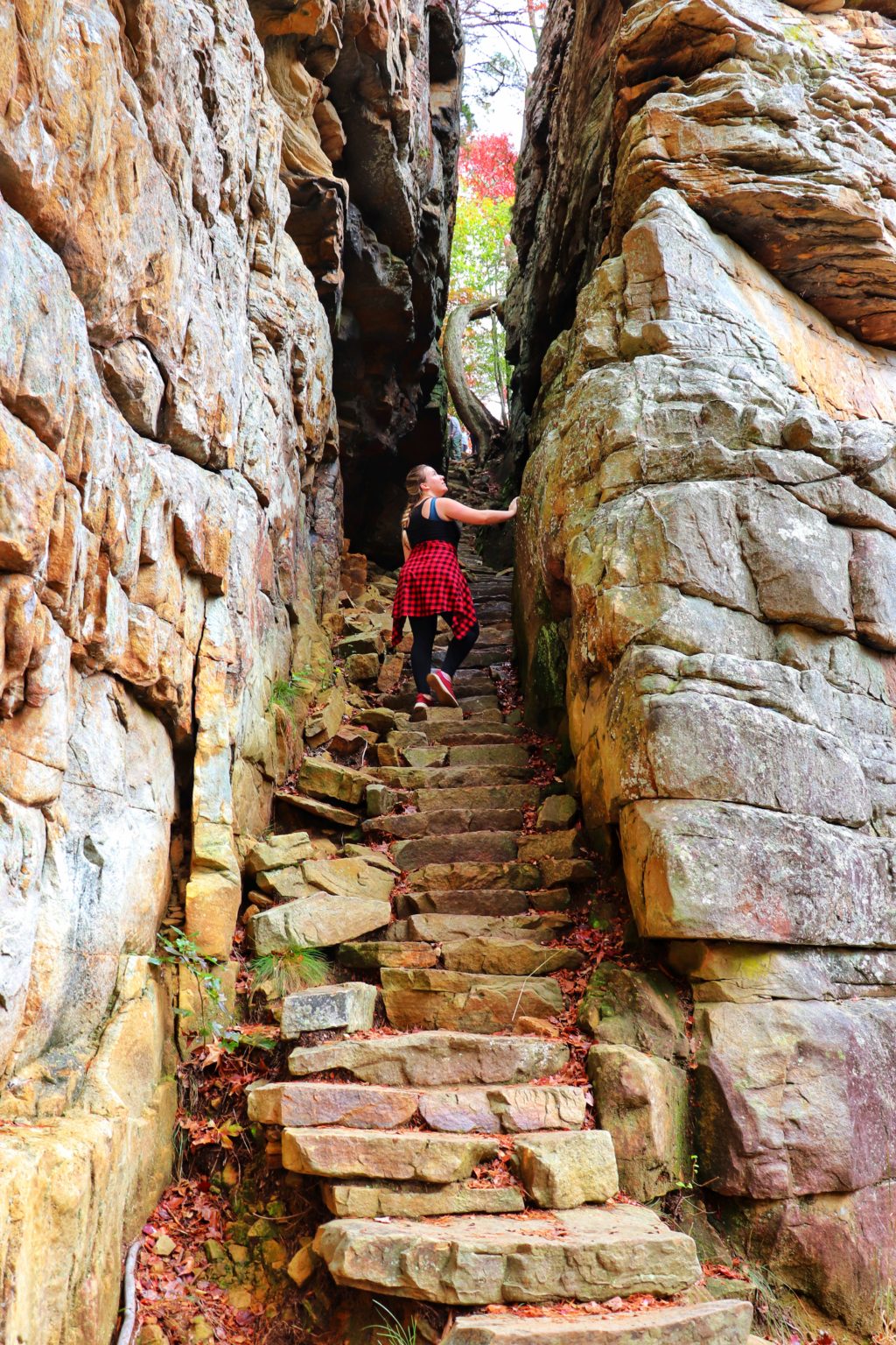 5 Best Fall Hikes in the Chattanooga Area - Exploring Chatt