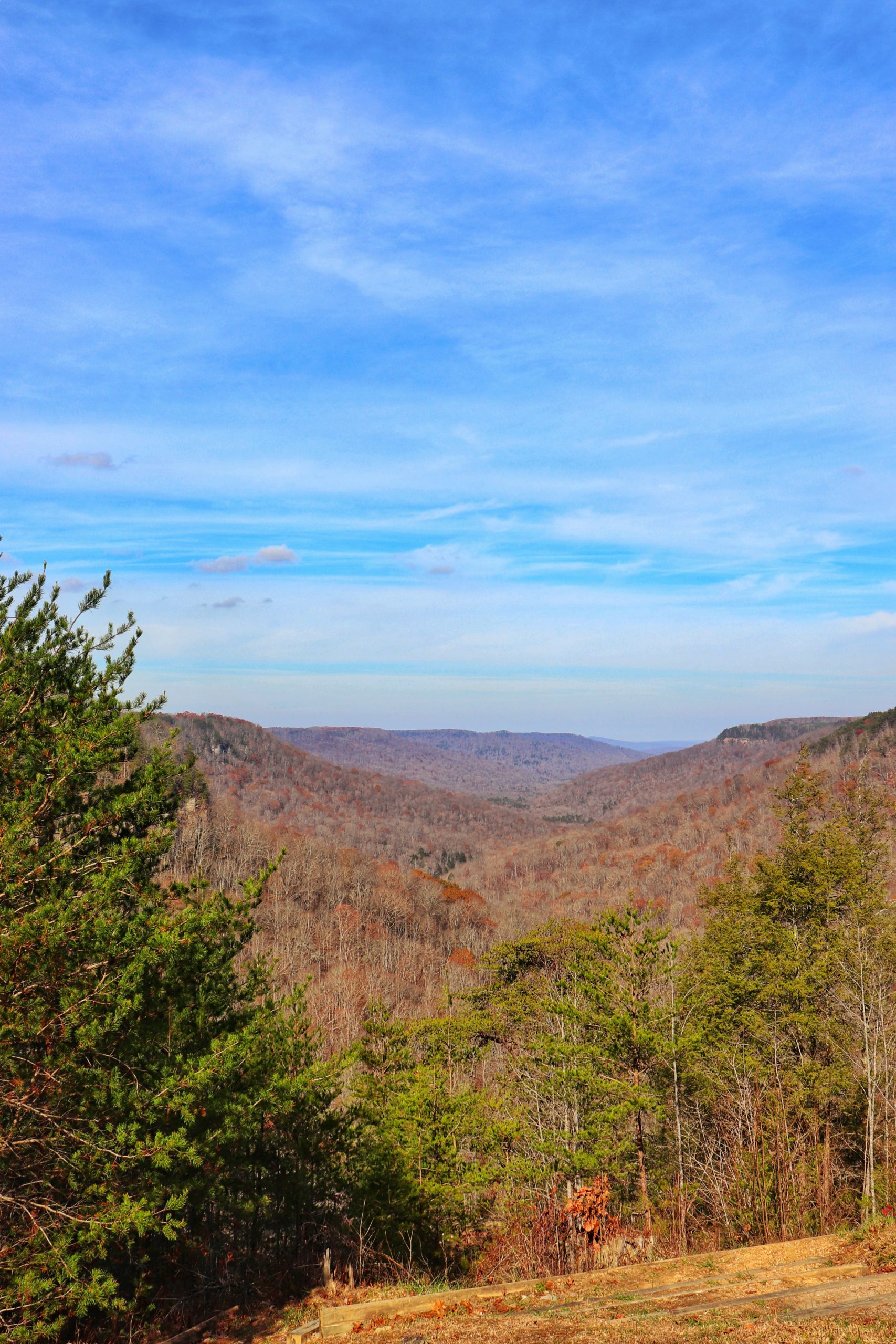 5 Best Fall Hikes in the Chattanooga Area - Exploring Chatt