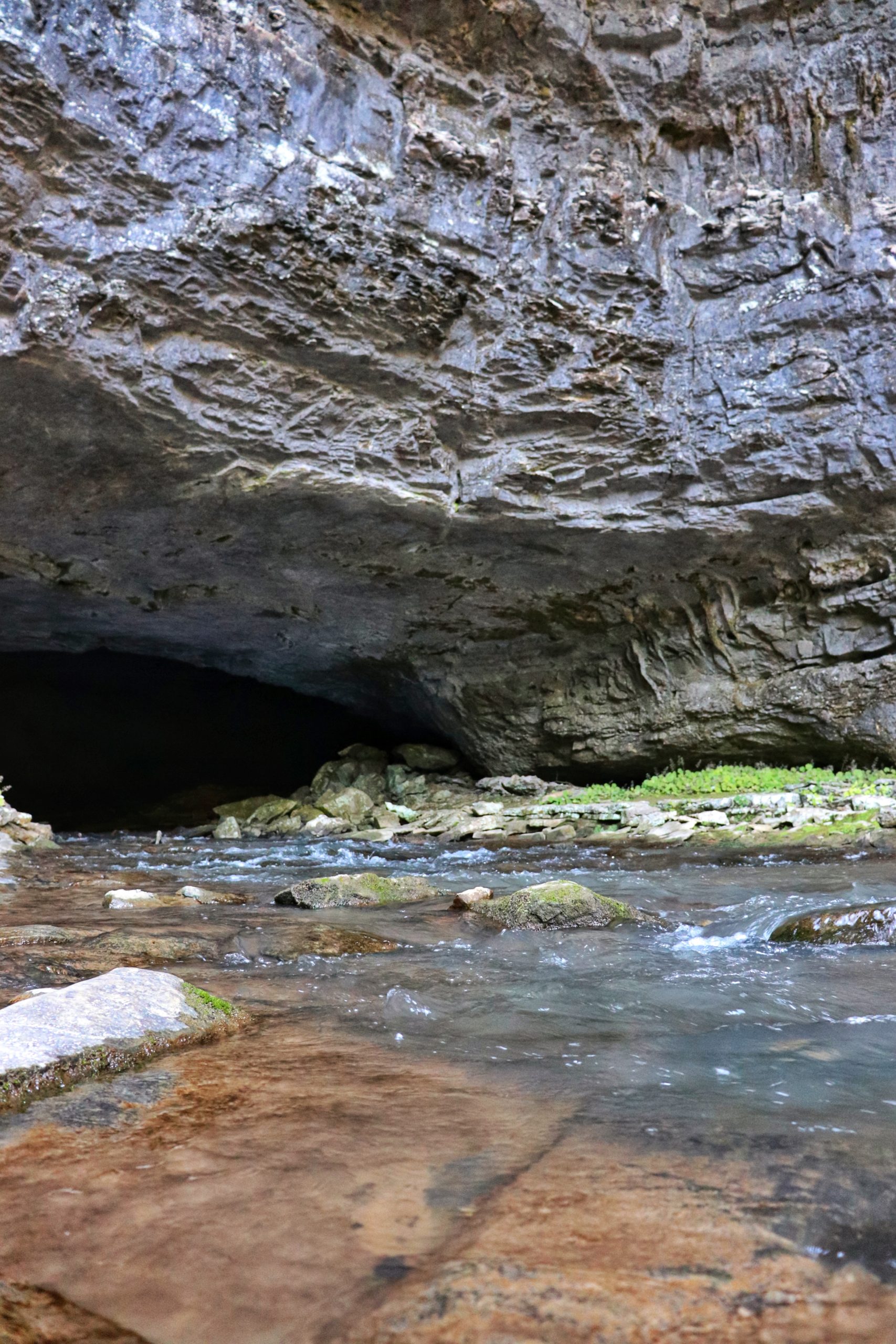 Why Buggytop Cave is One of the Best Caves in Tennessee
