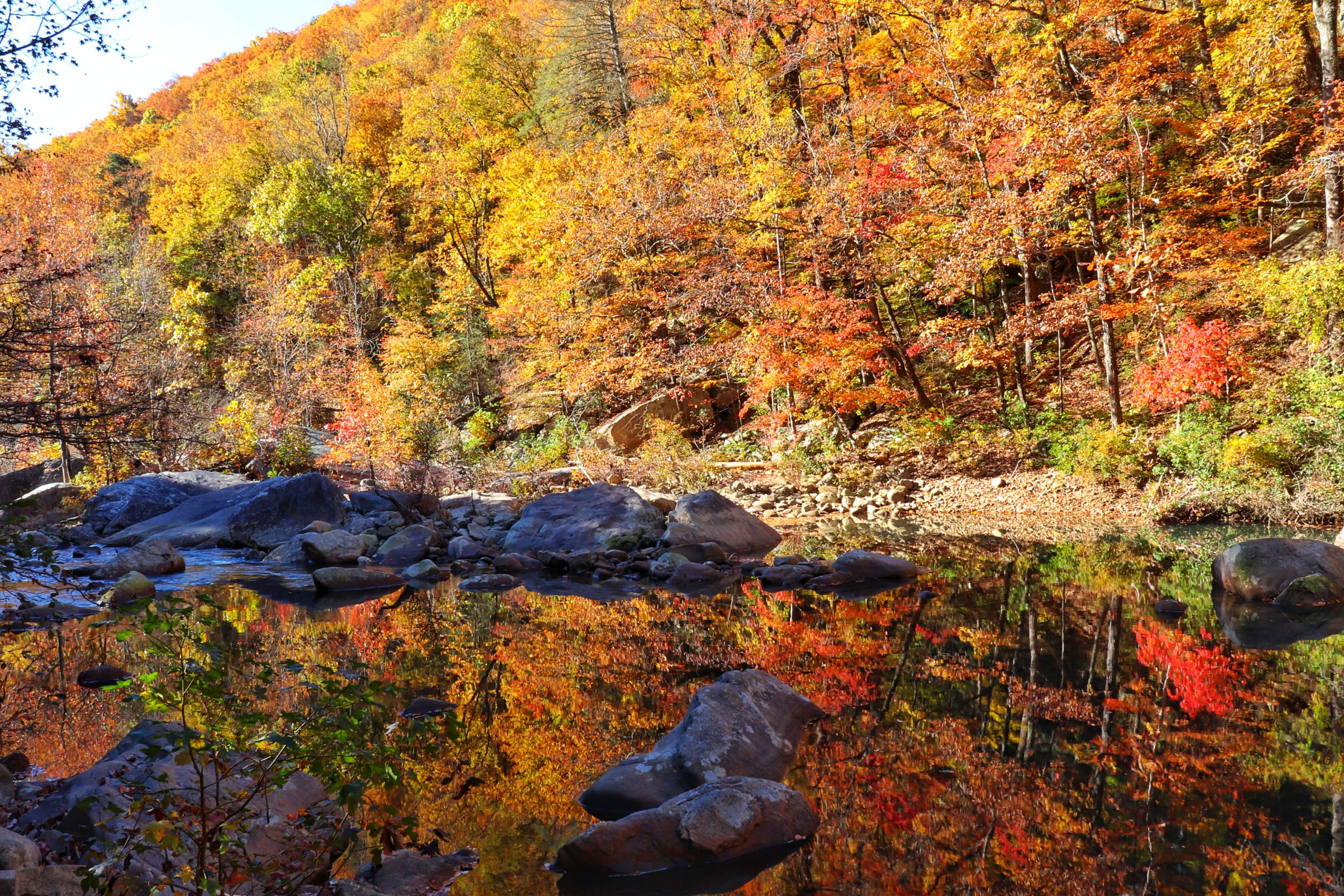 You are currently viewing 5 Best Fall Hikes in the Chattanooga Area