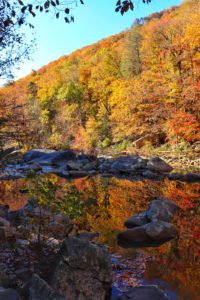 Read more about the article Best Chattanooga Fall Colors in One Day on Mowbray Mountain