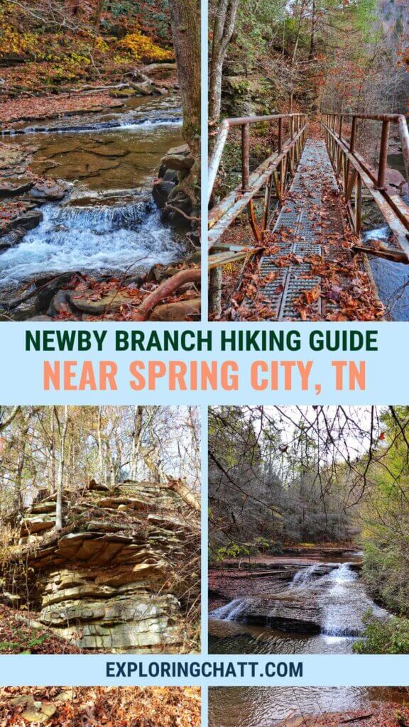 Newby Branch Hike Pin