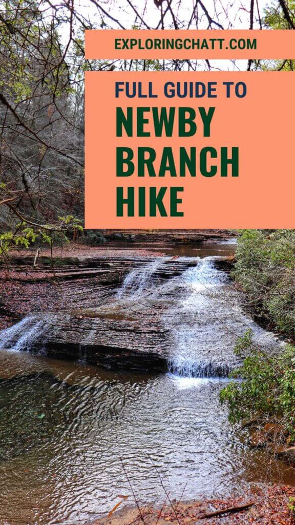 Newby Branch Hike Pin