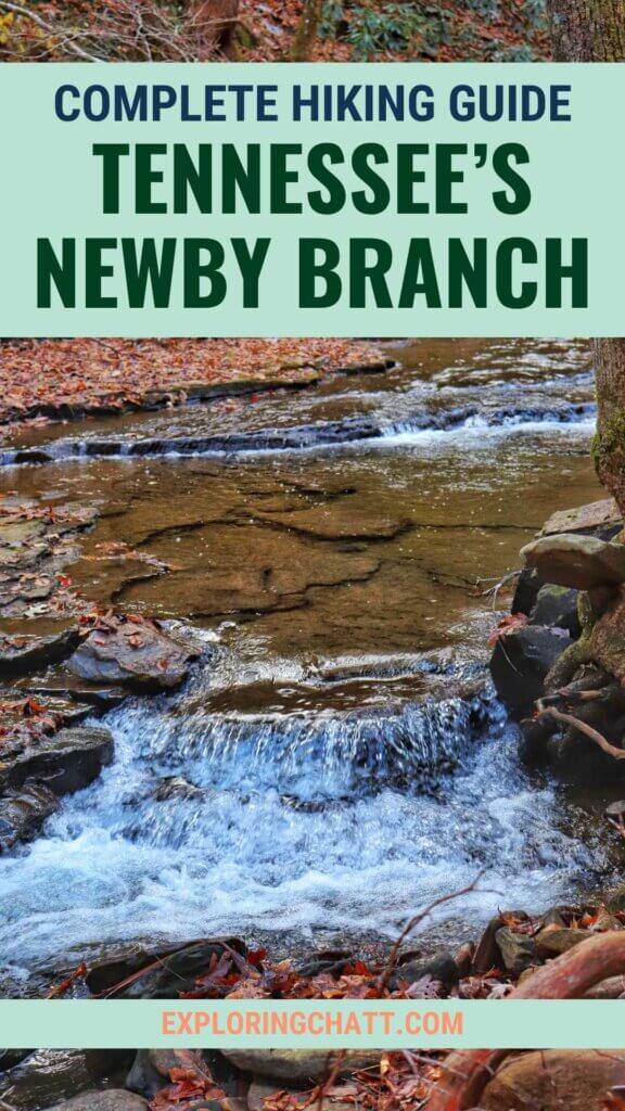 Newby Branch Hike Pin