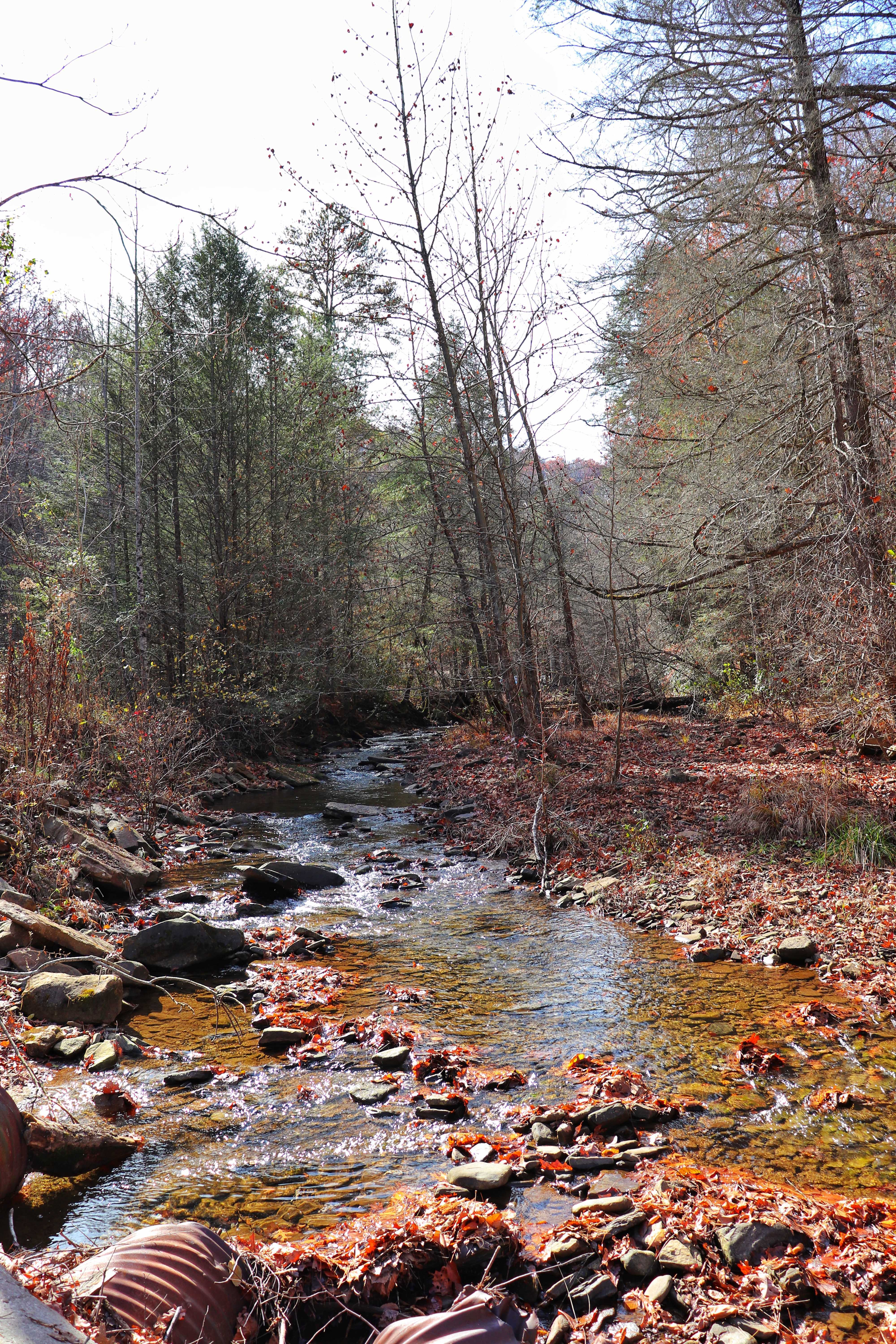 Duskin Creek crossing on Cumberland Trail