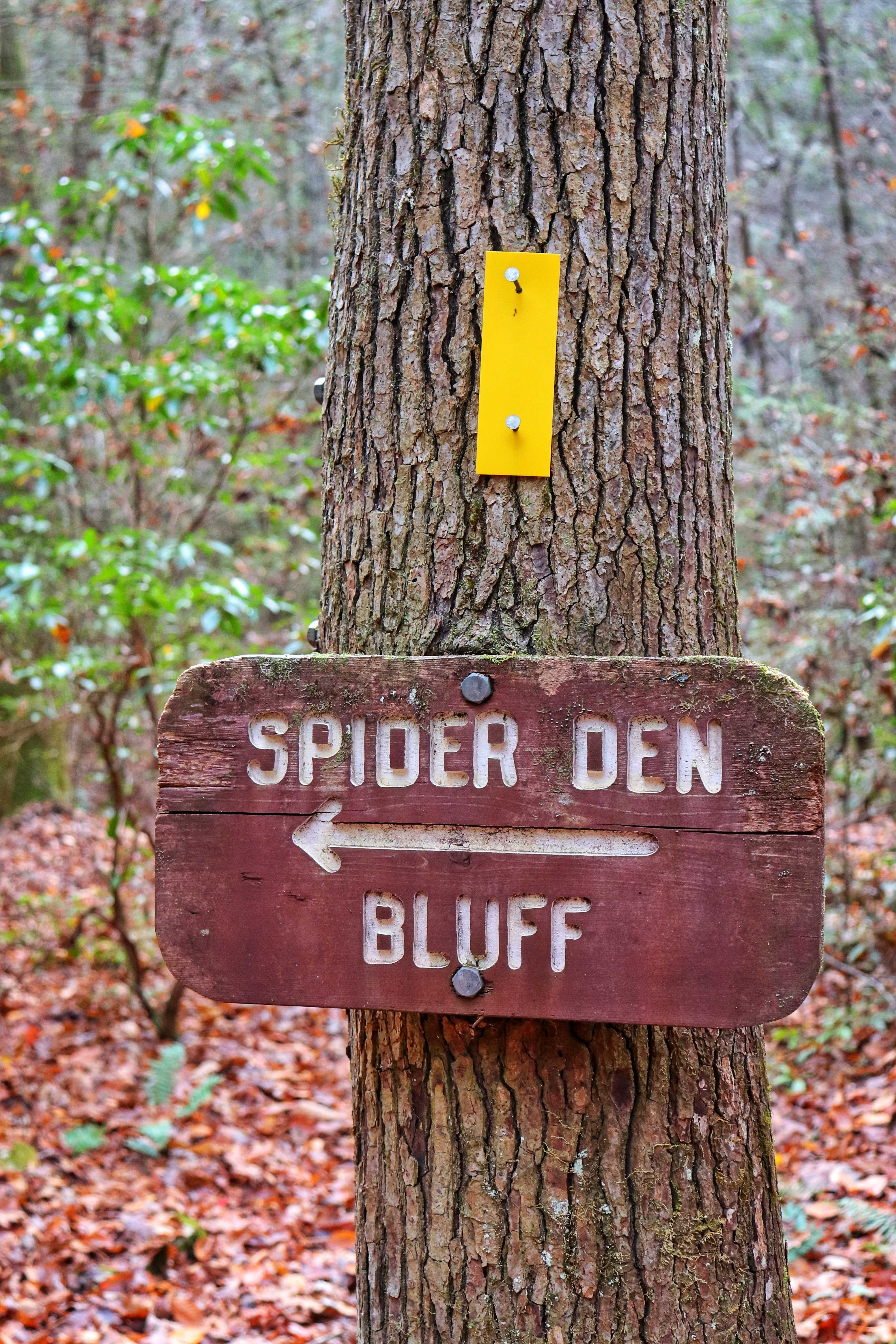 Spider Den Bluff sign