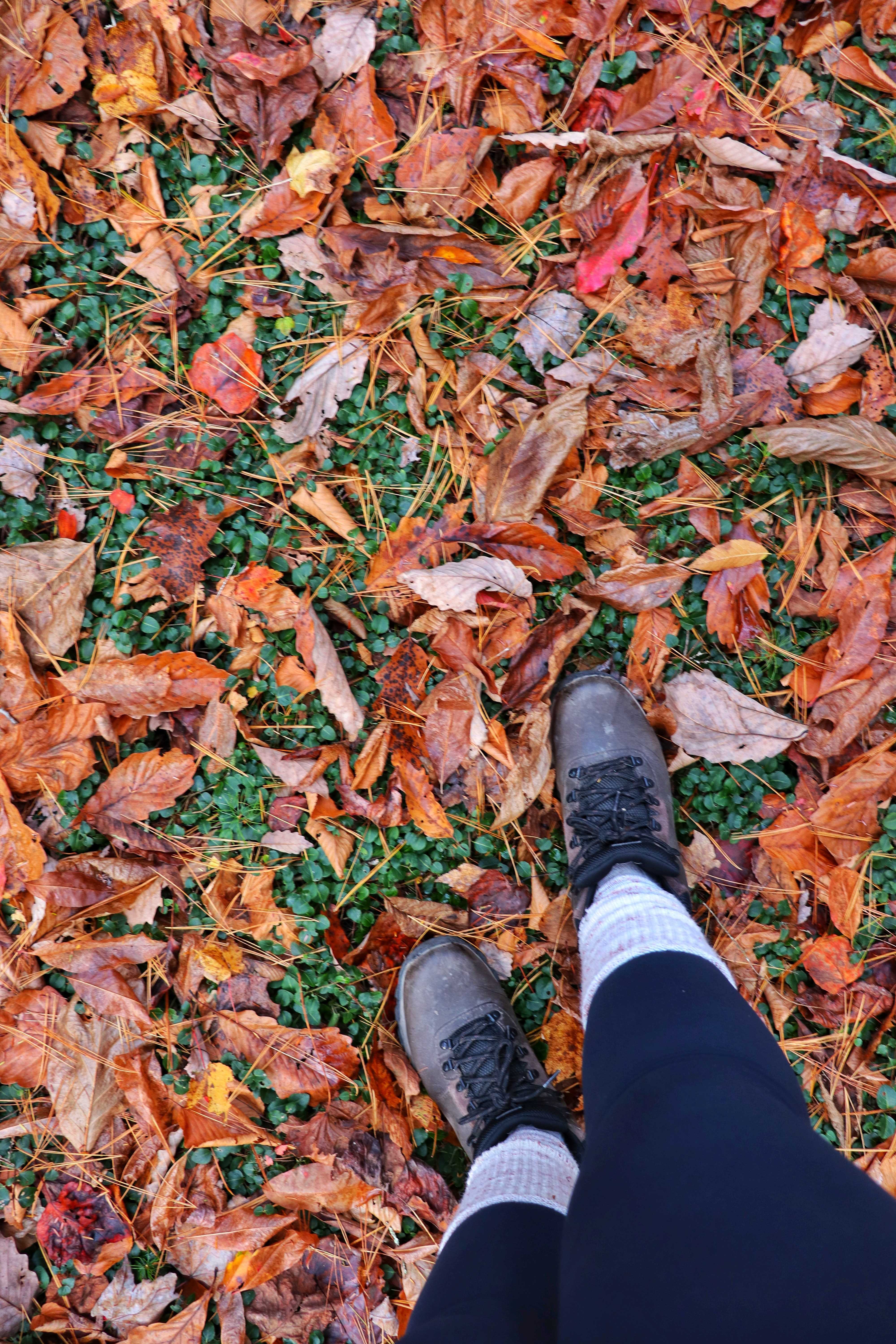 standing in fallen leaves on the Newby Branch hike