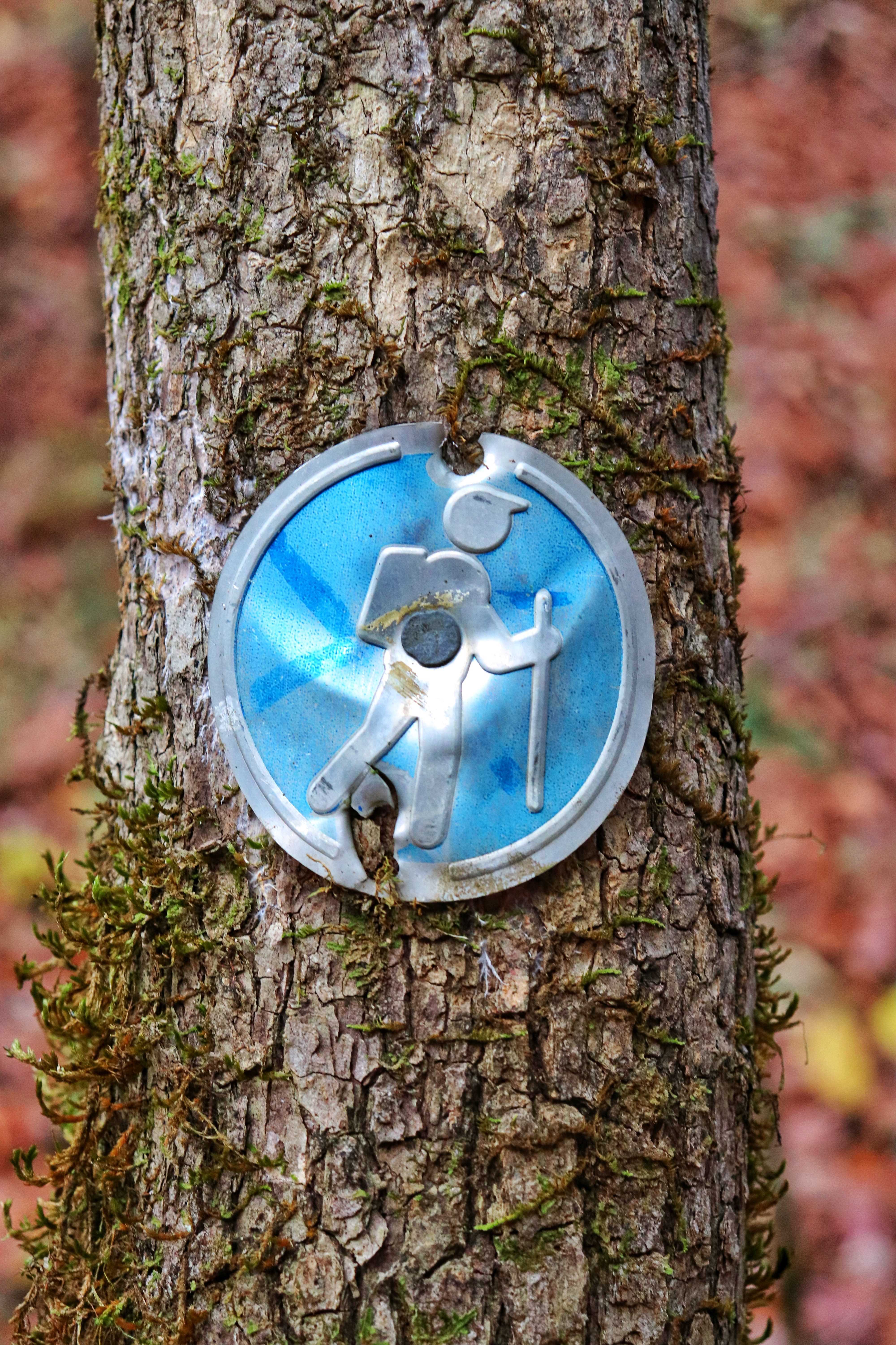 Hiking sign on a tree along the Cumberland Trail