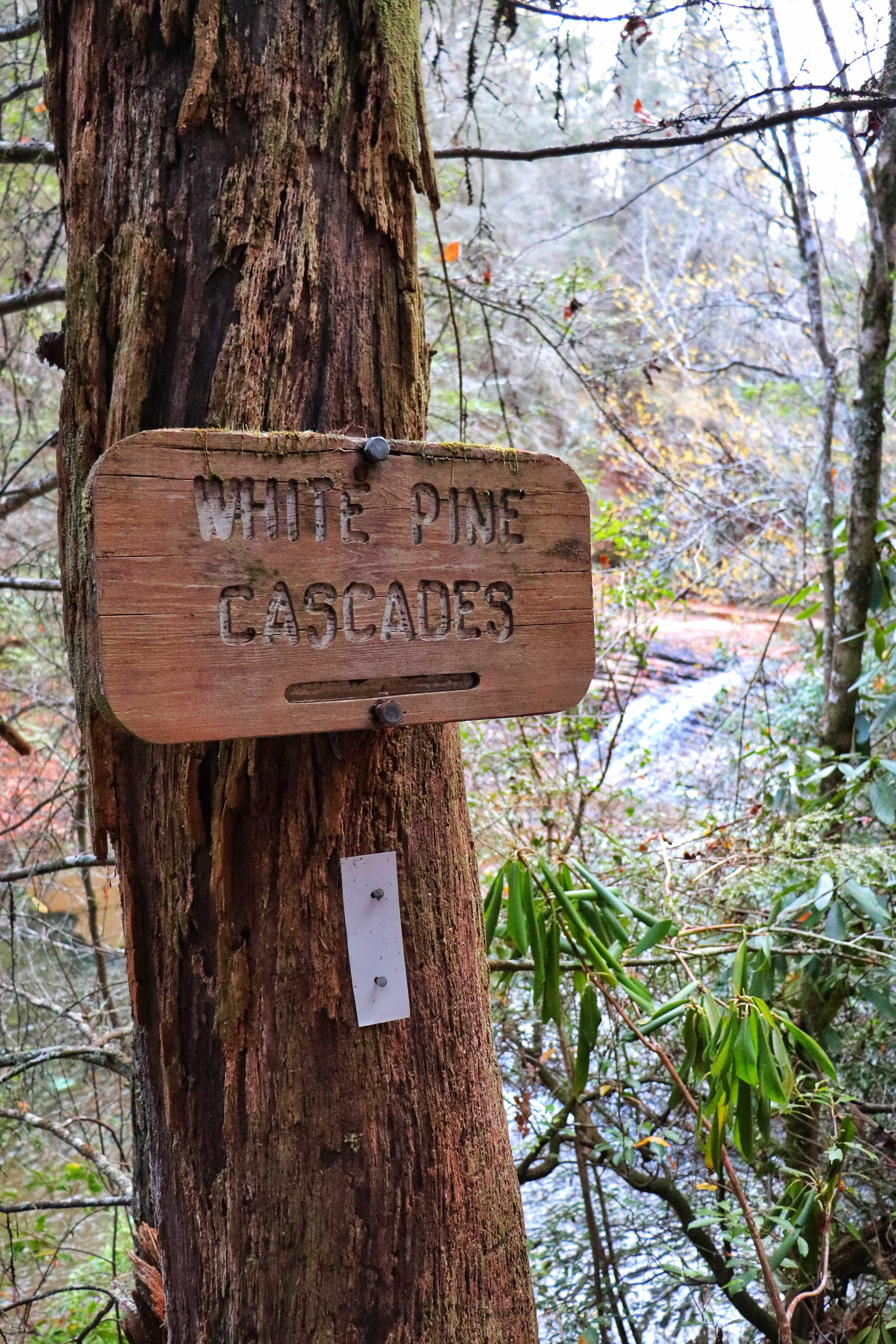 White Pine Cascades sign