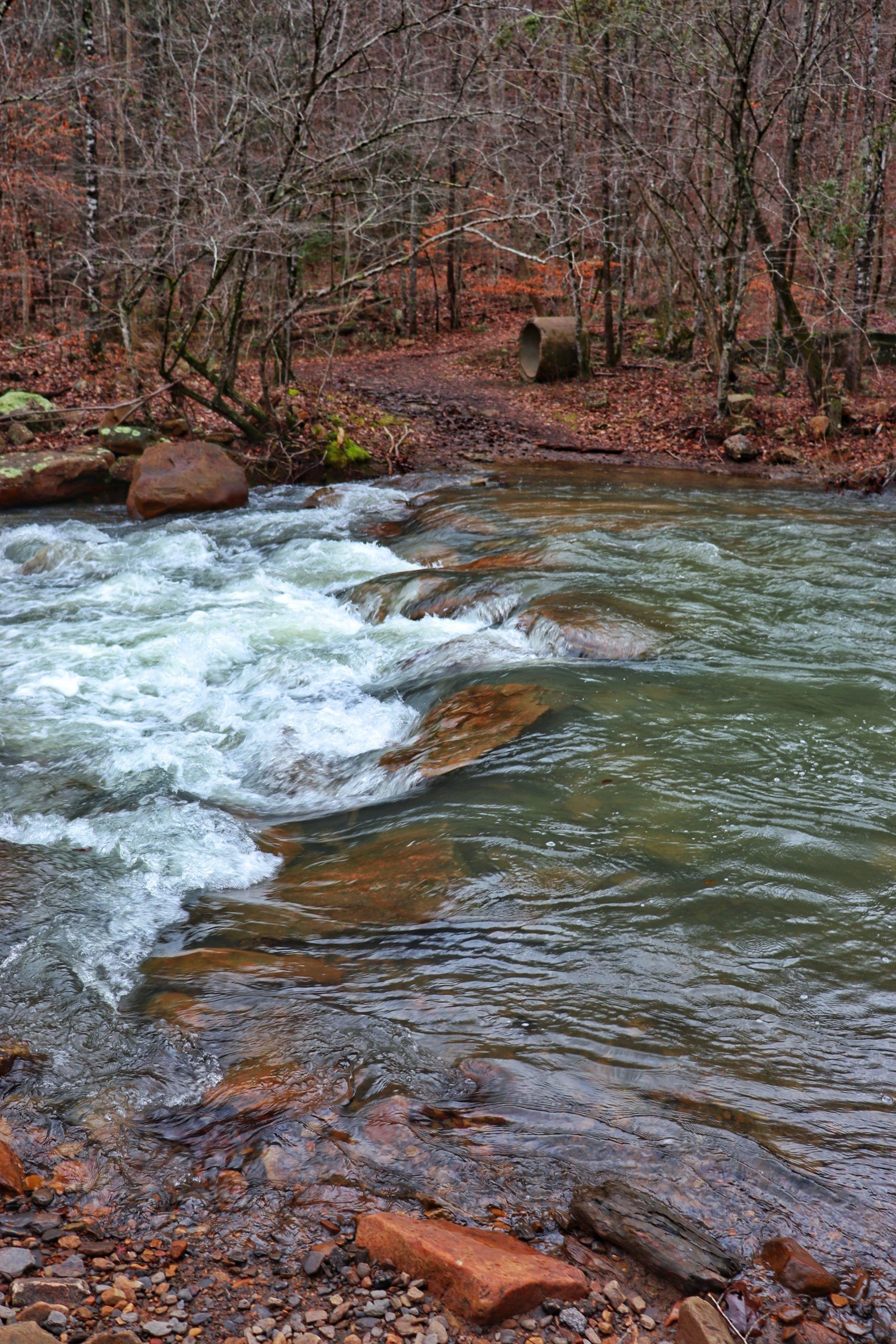 Complete Guide to Big Soddy Creek Gulf Park Near Chattanooga