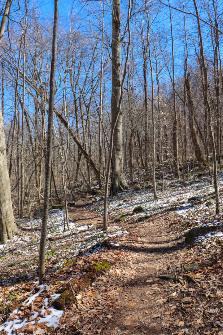 ritchie hollow trail