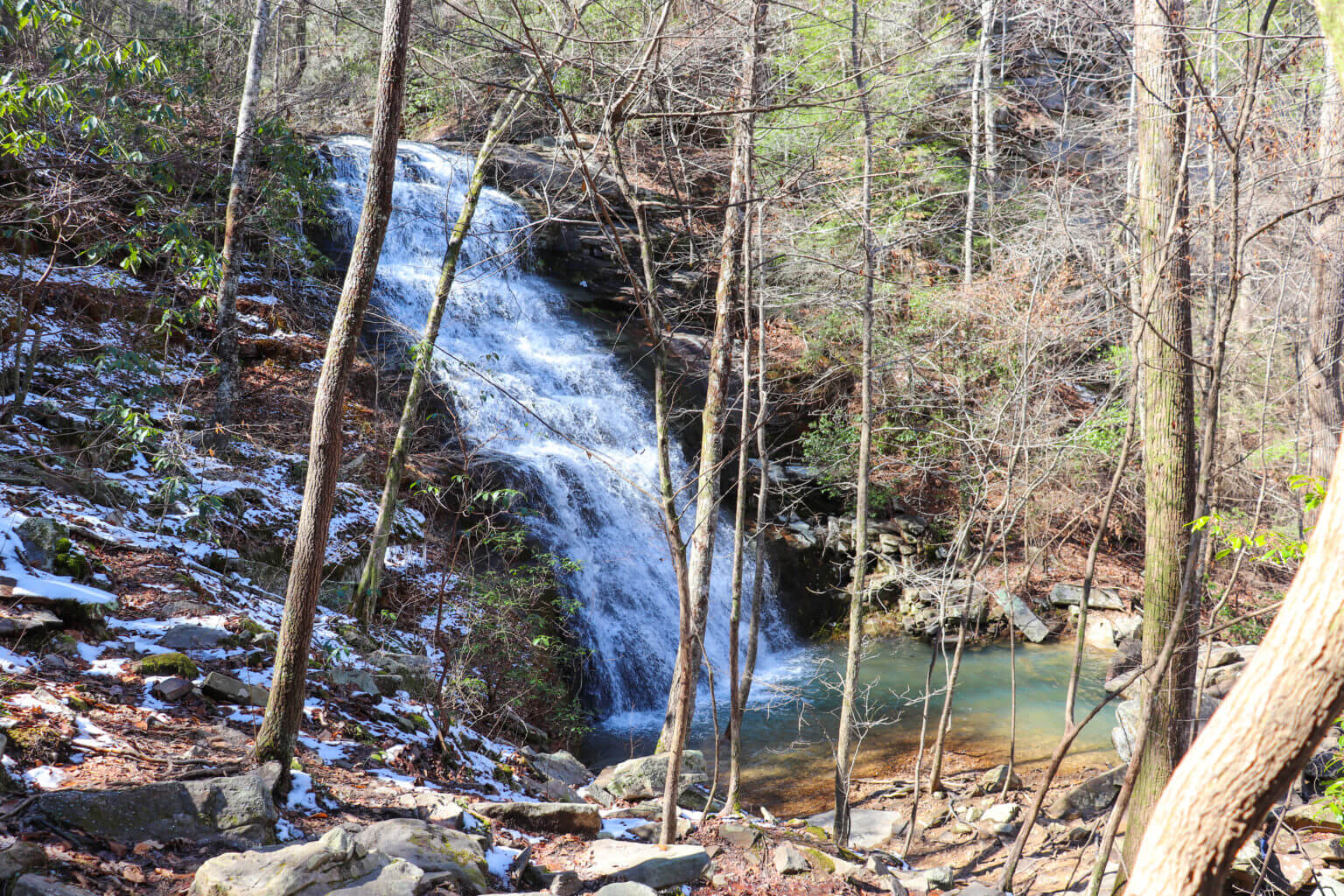 Discover a Chattanooga Hiking Gem: Ritchie Hollow Trail - Exploring Chatt