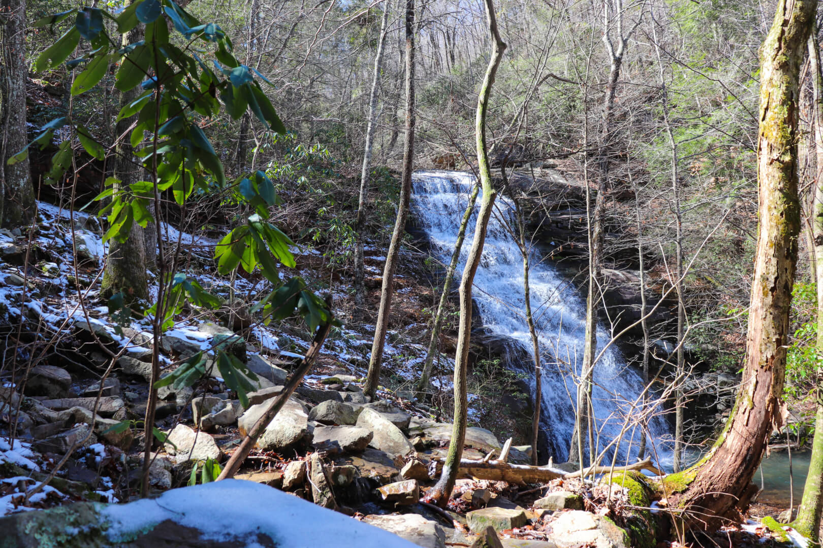 Discover a Chattanooga Hiking Gem: Ritchie Hollow Trail