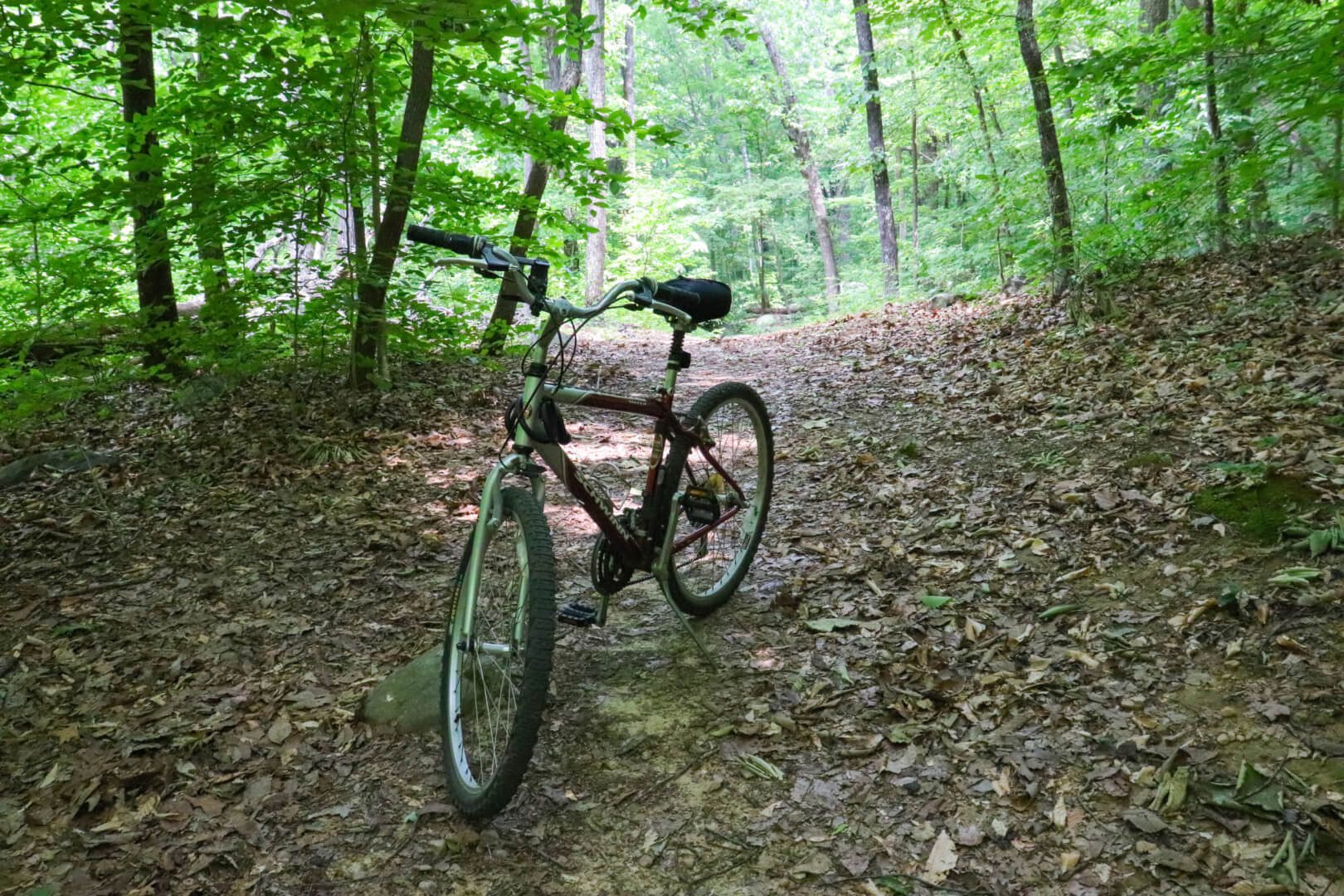 Is This the Secret Trail of Chattanooga Bike Trails?